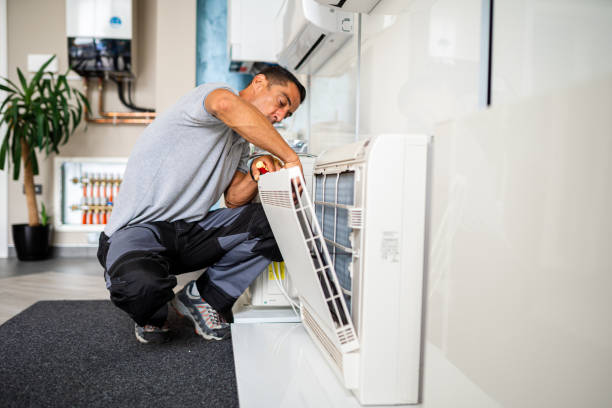 Best Home Air Vent Cleaning  in Mentone, CA